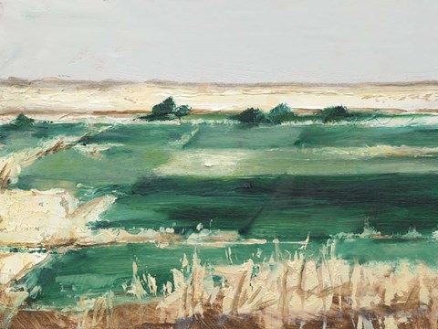 Framed Emerald Fields II Print