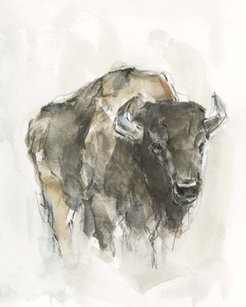 Framed American Buffalo I Print