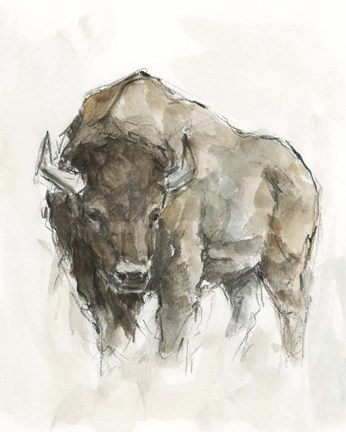 Framed American Buffalo II Print