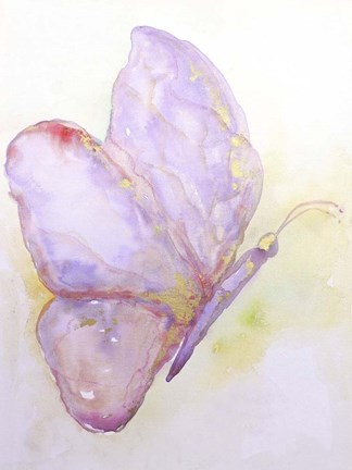 Framed Dulzura Mariposa II Print