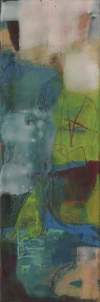 Framed Nisus V Print