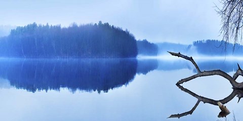 Framed Reflections Print