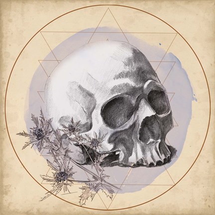 Framed Skull Thistle II Print