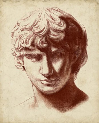 Framed Statuesque Study II Print