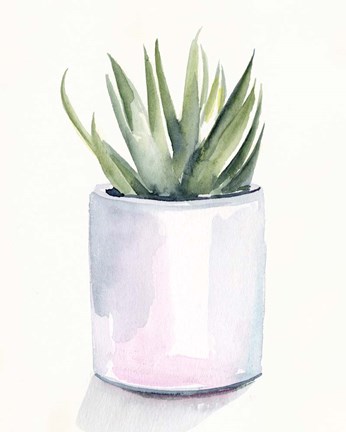 Framed Potted Succulent III Print