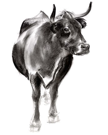 Framed Charcoal Cattle I Print