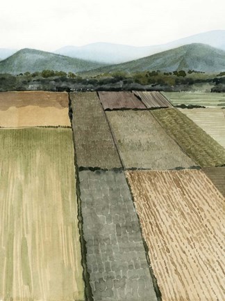 Framed This Land I Print