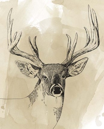 Framed Burnished Buck I Print
