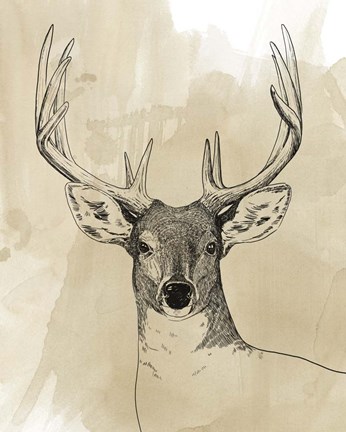 Framed Burnished Buck II Print