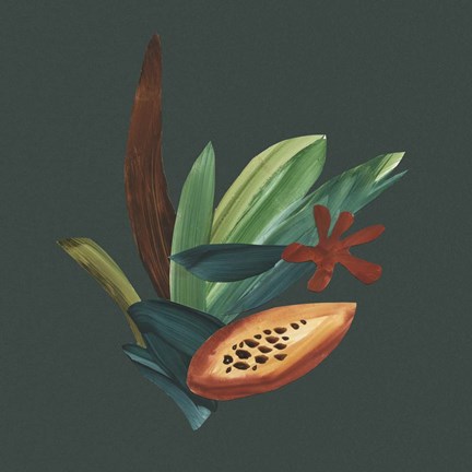 Framed Tropic of Capricorn II Print