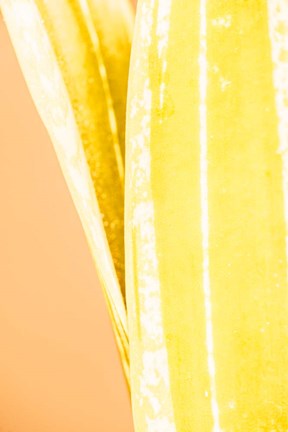 Framed Hot House I Print