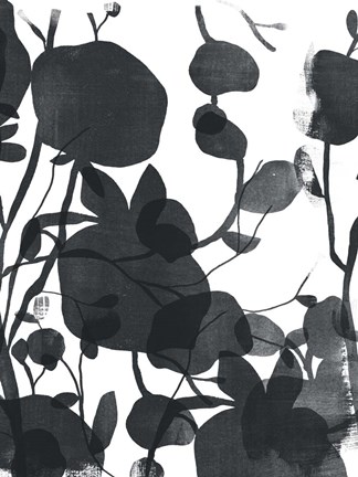 Framed Monoflora II Print