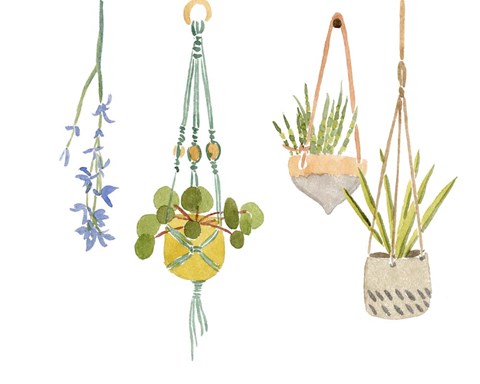 Framed Hanging Greens IV Print