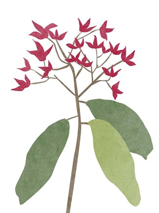 Framed Begonia Stem I Print