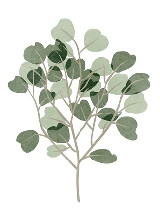 Framed Windy Eucalyptus II Print