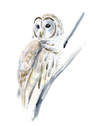 Framed Arctic Owl I Print