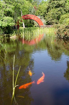 Framed Alabama, Theodore Bridge and Koi Pond at Bellingrath Gardens Print