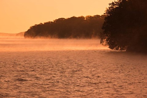 Framed Alabama, Florence Lake Wilson, Morning Mist Print