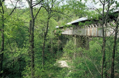 Framed Horton Mill Covered Bridge, Alabama Print