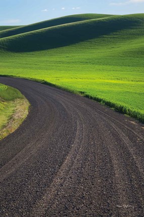 Framed Going Through Palouse Wheat Fields Print