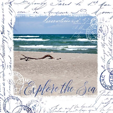 Framed Collage II Print