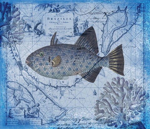 Framed Tropical Fish Print