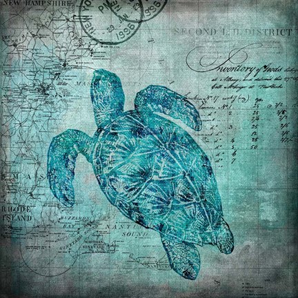 Framed Turtle Print