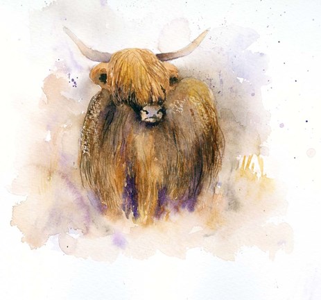Framed Highland Cow Print