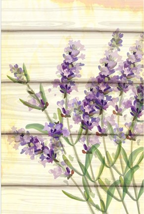 Framed Floral Lavender I Print