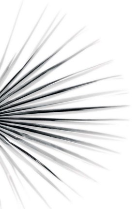 Framed Palm IV Print