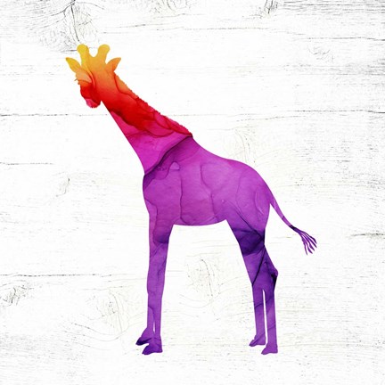 Framed Giraffe Print