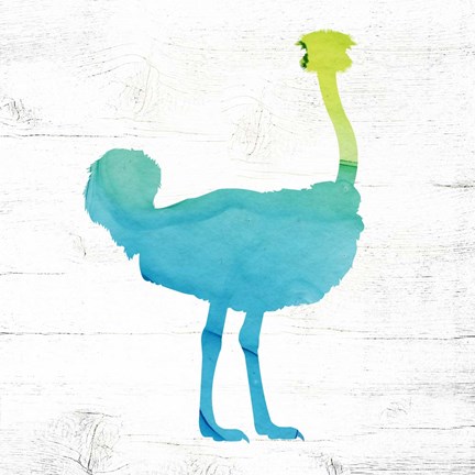 Framed Ostrich Print