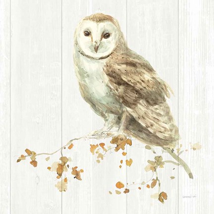 Framed Meadows Edge VIII on Wood Print