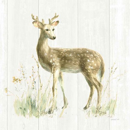 Framed Meadows Edge III on Wood Print