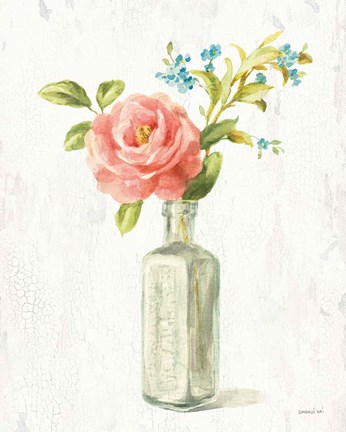 Framed Full Bloom IX Print