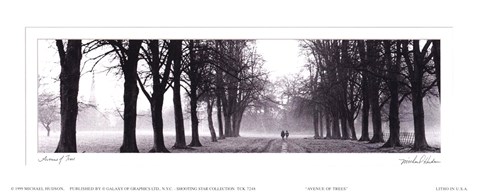 Framed Avenue of Trees BW Print