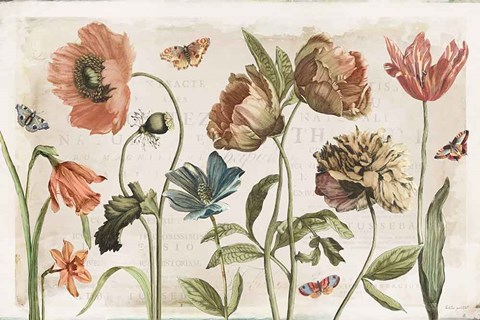 Framed Antiquarian Blooms I Print