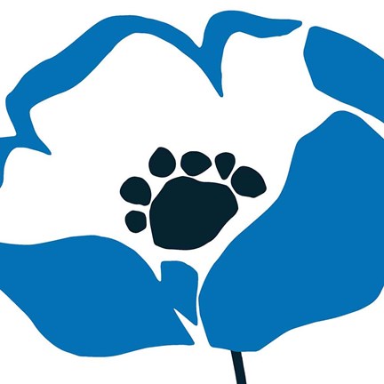 Framed Pop Art Floral II BLue Print