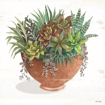 Framed Terracotta Succulents II Print