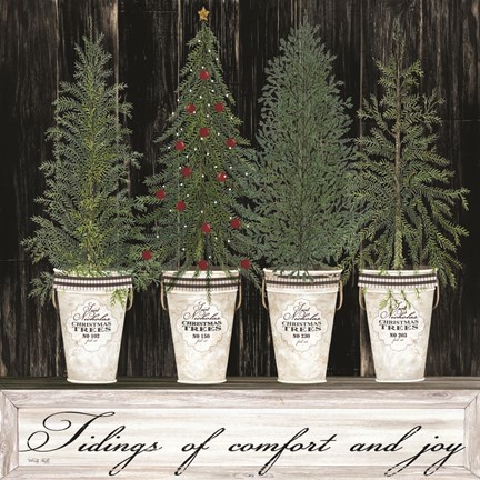 Framed Tidings of Comfort &amp; Joy Print
