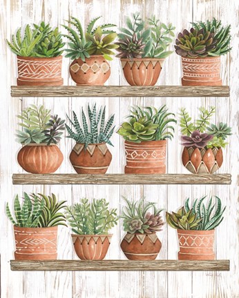 Framed Succulents on Shelves Print