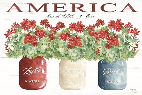 Framed America Glass Jars Print