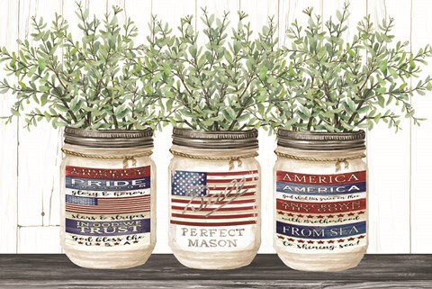 Framed Patriotic Glass Jar Trio I Print