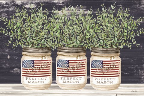 Framed Patriotic Glass Jar Trio II Print