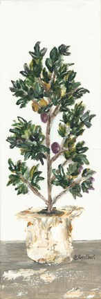 Framed Olive Tree Print