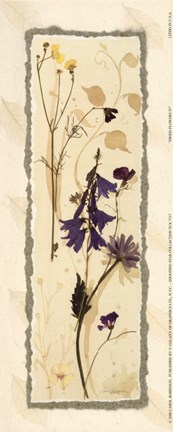 Framed Dried Flowers IV Print