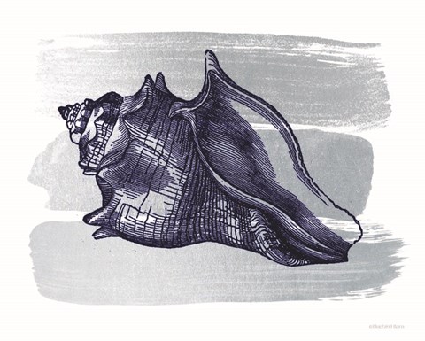 Framed Brushed Midnight Blue Seashell Print