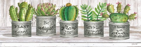 Framed Galvanized Pot Succulents I Print