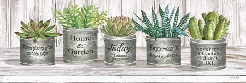 Framed Galvanized Pot Succulents II Print