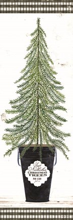 Framed Fir Tree Print